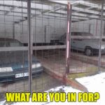 The Shawshank Roademption  | WHAT ARE YOU IN FOR? | image tagged in abandoned cars,memes,prison,jail | made w/ Imgflip meme maker