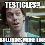 Bollocks more like | TESTICLES? BOLLOCKS MORE LIKE | image tagged in bollocks more like | made w/ Imgflip meme maker