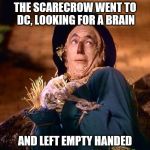 strawman | THE SCARECROW WENT TO DC, LOOKING FOR A BRAIN; AND LEFT EMPTY HANDED | image tagged in strawman | made w/ Imgflip meme maker