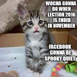 Worried Kitten | WOCHA GONNA DO WHEN LECTION 2016  IS ENDID IN NOVEMBER; FACEBOOK GONNA BE SPOOKY QUIET | image tagged in worried kitten | made w/ Imgflip meme maker