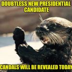 Keep Up Your Enthusiasm | DOUBTLESS NEW PRESIDENTIAL CANDIDATE; SCANDALS WILL BE REVEALED TODAY ! | image tagged in oregon sea otter | made w/ Imgflip meme maker