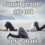 ostrich head in sand | Stupid people are not; very smart | image tagged in ostrich head in sand | made w/ Imgflip meme maker