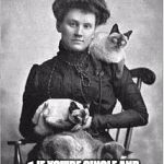 Vintage Cat Lady | ♫ IF YOU'RE SINGLE AND YOU KNOW IT, PET YOUR CAT. ♬ | image tagged in vintage cat lady | made w/ Imgflip meme maker