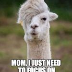 You wouldn't understand | MOM, I JUST NEED TO FOCUS ON MY ART RIGHT NOW | image tagged in hipster llama,llama,hipster,art,lazy college senior,bacon | made w/ Imgflip meme maker