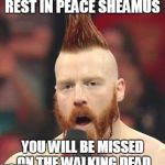 I hope people get this. | REST IN PEACE SHEAMUS; YOU WILL BE MISSED ON THE WALKING DEAD | image tagged in sheamus,the walking dead | made w/ Imgflip meme maker