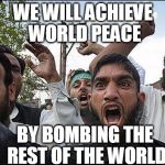 Muslim rage boy | WE WILL ACHIEVE WORLD PEACE; BY BOMBING THE REST OF THE WORLD | image tagged in muslim rage boy | made w/ Imgflip meme maker