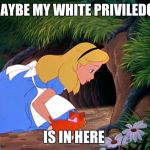 Alice Looking Down the Rabbit Hole | MAYBE MY WHITE PRIVILEDGE; IS IN HERE | image tagged in alice looking down the rabbit hole | made w/ Imgflip meme maker