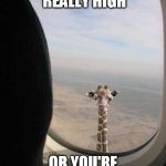 I'm really sticking my neck out for this one | EITHER I'M REALLY HIGH; OR YOU'RE REALLY LOW | image tagged in giraffe shit | made w/ Imgflip meme maker