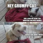An Accepted Challenge from Dashhopes | HEY GRUMPY CAT; GOD ,LEAVE ME ALONE YOU ANNOYING UNLOVED ANIMAL! GOSH YOU DON'T NEED TO BE SO "GRUMPY"; DEAR GOD, SOME ONE GET ME MY AX!!! | image tagged in grumpy cat and his dog | made w/ Imgflip meme maker