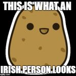 Cayden potato | THIS IS WHAT AN; IRISH PERSON LOOKS | image tagged in cayden potato | made w/ Imgflip meme maker