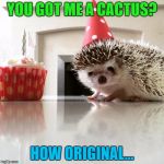 Some people have no imagination :) | YOU GOT ME A CACTUS? HOW ORIGINAL... | image tagged in birthday hedgehog,memes,animals,cactus,plants,birthday | made w/ Imgflip meme maker