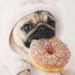 Pug like donut