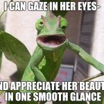 Crazy Chameleon | I CAN GAZE IN HER EYES-; AND APPRECIATE HER BEAUTY, IN ONE SMOOTH GLANCE | image tagged in crazy chameleon | made w/ Imgflip meme maker