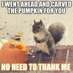 I carved your pumpkin  | I WENT AHEAD AND CARVED THE PUMPKIN FOR YOU; NO NEED TO THANK ME | image tagged in squirrel and pumpkin,funny memes,funny,fall,cute animals,pumpkin | made w/ Imgflip meme maker