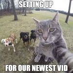 The truth behind all those pet vids on Youtube | SETTING UP; FOR OUR NEWEST VID | image tagged in young star group | made w/ Imgflip meme maker