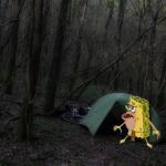 Scared camping spongebob
