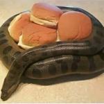 Anaconda Buns meme