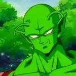 Piccolo Aprova