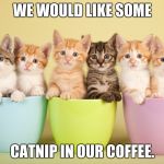 Kittens in Mugs for Coffee | WE WOULD LIKE SOME; CATNIP IN OUR COFFEE. | image tagged in kittens in mugs for coffee | made w/ Imgflip meme maker