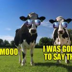 cool cows | I WAS GOING TO SAY THAT; MOOO | image tagged in cool cows | made w/ Imgflip meme maker