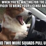 dog driving | WHEN YOU'RE WAITING FOR THE OFFICER TO BRING YOUR LICENSE BACK; AND TWO MORE SQUADS PULL UP. | image tagged in dog driving | made w/ Imgflip meme maker