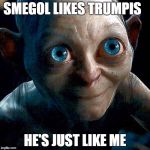 smegol | SMEGOL LIKES TRUMPIS; HE'S JUST LIKE ME | image tagged in smegol | made w/ Imgflip meme maker