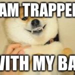 doge | I AM TRAPPED; WITH MY BAE | image tagged in doge | made w/ Imgflip meme maker
