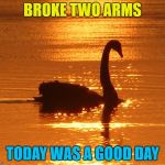 Has ANYBODY ever had their arm broken by a swan? | BROKE TWO ARMS; TODAY WAS A GOOD DAY | image tagged in swan at sunset,memes,urban myths,urban legend,animals,swans | made w/ Imgflip meme maker