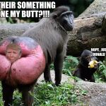 Donald trump baboon rump | IS THEIR SOMETHING ONE MY BUTT?!!! NOPE , JUST SOME DONALD TRUMP | image tagged in donald trump baboon rump | made w/ Imgflip meme maker