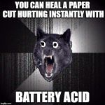 Malicious Advice Wolf | YOU CAN HEAL A PAPER CUT HURTING INSTANTLY WITH; BATTERY ACID | image tagged in malicious advice wolf | made w/ Imgflip meme maker