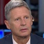 gary johnson what is