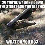 Unexpected Surprises!  | SO YOU'RE WALKING DOWN THE STREET AND YOU SEE THIS! WHAT DO YOU DO? | image tagged in unexpected surprises | made w/ Imgflip meme maker