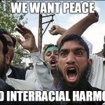 Muslim rage boy | WE WANT PEACE; AND INTERRACIAL HARMONY | image tagged in muslim rage boy | made w/ Imgflip meme maker