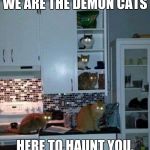 Kittens of the Corn | WE ARE THE DEMON CATS; HERE TO HAUNT YOU. | image tagged in kittens of the corn | made w/ Imgflip meme maker