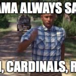 Forrest Gump | MAMA ALWAYS SAYS; RUN, CARDINALS, RUN! | image tagged in forrest gump | made w/ Imgflip meme maker