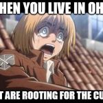 Armin | WHEN YOU LIVE IN OHIO; BUT ARE ROOTING FOR THE CUBS | image tagged in armin | made w/ Imgflip meme maker