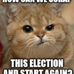 perplexed cat | HOW CAN WE SCRAP; THIS ELECTION AND START AGAIN? | image tagged in perplexed cat | made w/ Imgflip meme maker