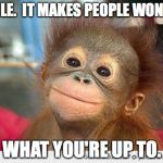 Cute Monkey | SMILE.  IT MAKES PEOPLE WONDER; WHAT YOU'RE UP TO. | image tagged in cute monkey | made w/ Imgflip meme maker