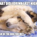 What did I drink last night?? | WHAT DID I DRINK LAST NIGHT? NO HAIR OF THE DOG FOR ME!! | image tagged in stop the noises,drunk | made w/ Imgflip meme maker