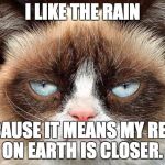 Grumpy cat glare | I LIKE THE RAIN; BECAUSE IT MEANS MY REIGN ON EARTH IS CLOSER. | image tagged in grumpy cat glare | made w/ Imgflip meme maker