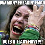 Hysterical Holly | HOW MANY FREAKIN' EMAILS; DOES HILLARY HAVE?!! | image tagged in hysterical holly | made w/ Imgflip meme maker