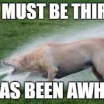 Thirsty Dog | YOU MUST BE THIRSTY; IT HAS BEEN AWHILE. | image tagged in thirsty dog | made w/ Imgflip meme maker