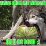 Watermelon Wolf | STAY AWAY FROM MY WATERMELON; OR U BE DEAD  :) | image tagged in watermelon wolf | made w/ Imgflip meme maker