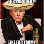 Trump Interesting Sombrero | WHO ARE YOU VOTING FOR PRESIDENT? LIKE FOR TRUMP COMMENT FOR CLINTON | image tagged in trump interesting sombrero | made w/ Imgflip meme maker