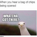 BIRDS2 | WHATCHA GOT THERE? | image tagged in birds2 | made w/ Imgflip meme maker