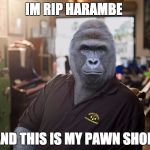 harambe_stars | IM RIP HARAMBE; AND THIS IS MY PAWN SHOP | image tagged in harambe_stars | made w/ Imgflip meme maker