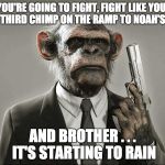 If you're going to fight, don't do it half-assed. | IF YOU'RE GOING TO FIGHT, FIGHT LIKE YOU'RE THE THIRD CHIMP ON THE RAMP TO NOAH'S ARK; AND BROTHER . . . IT'S STARTING TO RAIN | image tagged in chimpanzee with gun,fight,street fighter,never give up | made w/ Imgflip meme maker