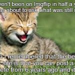 glad to be back here | I haven't been on Imgflip in half a year, and I was about to ask what was still relevant. Then I remembered that the beauty of this site is that you can post a meme templete from 6 years ago and its fine. | image tagged in laughing cat,truth,meme,cat,imgflip | made w/ Imgflip meme maker