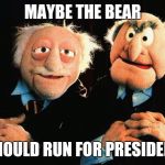 Old Man | MAYBE THE BEAR; SHOULD RUN FOR PRESIDENT | image tagged in old man | made w/ Imgflip meme maker