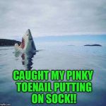 shark_head_out_of_water | CAUGHT MY PINKY TOENAIL PUTTING ON SOCK!! | image tagged in shark_head_out_of_water | made w/ Imgflip meme maker